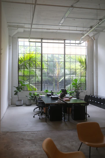 A calm office space with natural plants and soft sunlight, reflecting a biofilic workplace.