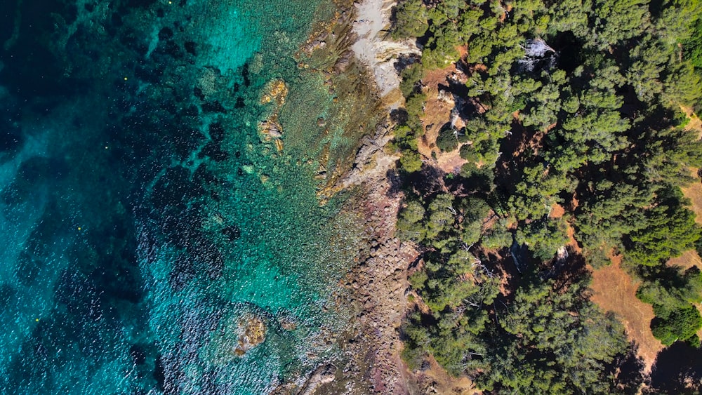 aerial view of a beach and ocean