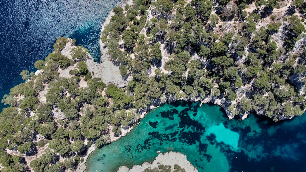 an aerial view of a green island