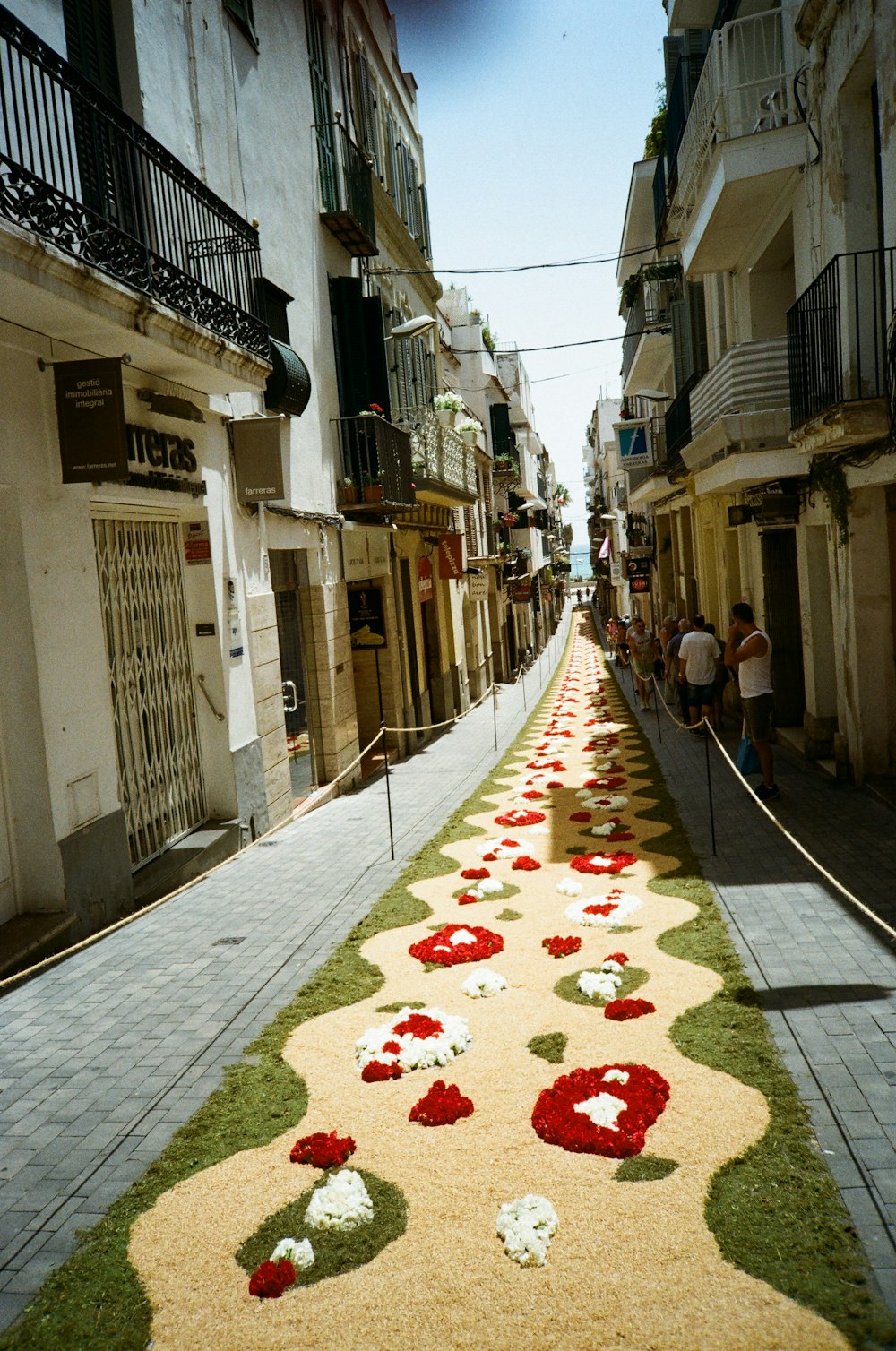 a street with flowers on it