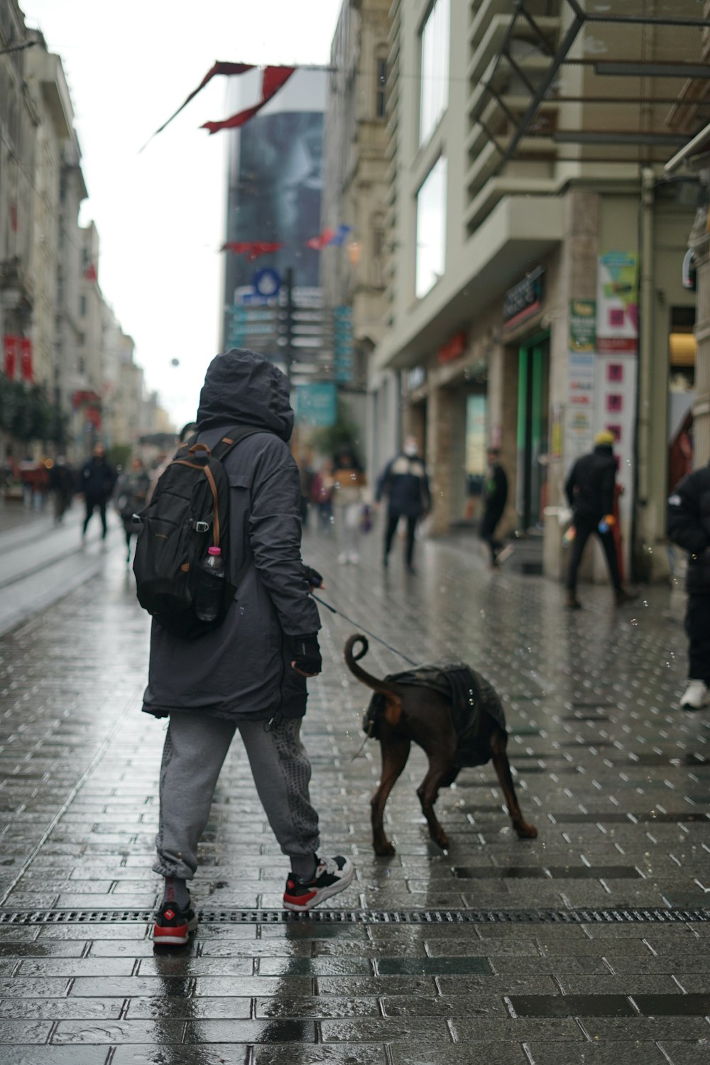 a person walking a dog on a leash in a city