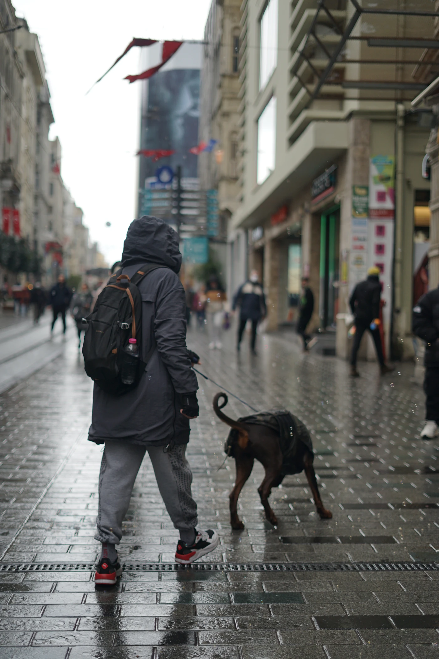 Personne qui promène son chien en laisse en ville sous la pluie