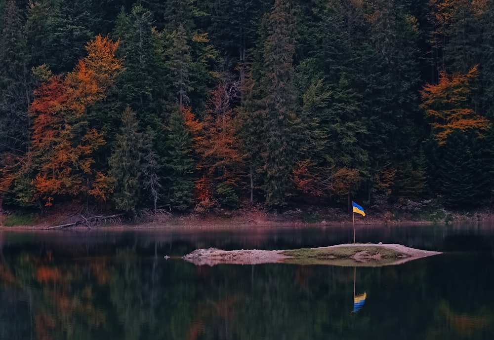 a small island with a flag on it surrounded by trees