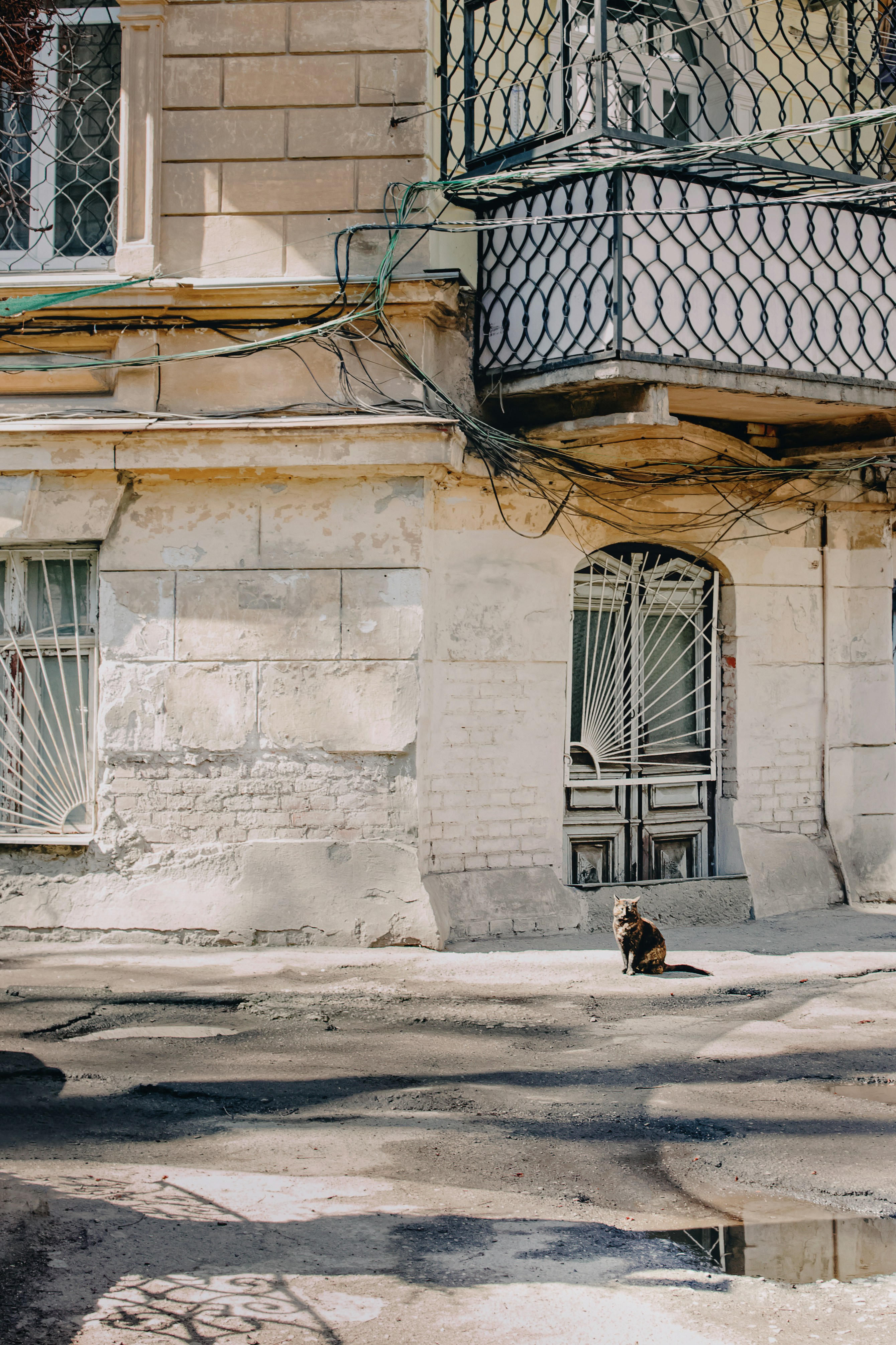 a cat sitting on the sidewalk
