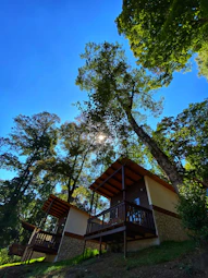 A cozy modular park home nestled among tall Mpumalanga trees under a bright blue sky.