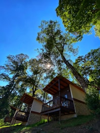 A cozy cabin nestled among tall trees with RVs parked nearby under a bright blue sky.