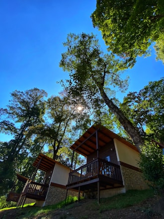 A cozy cabin nestled among tall trees with RVs parked nearby under a bright blue sky.