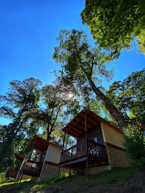 Sunlight streaming onto tiny homes serving as cozy lodging for guests and volunteers.