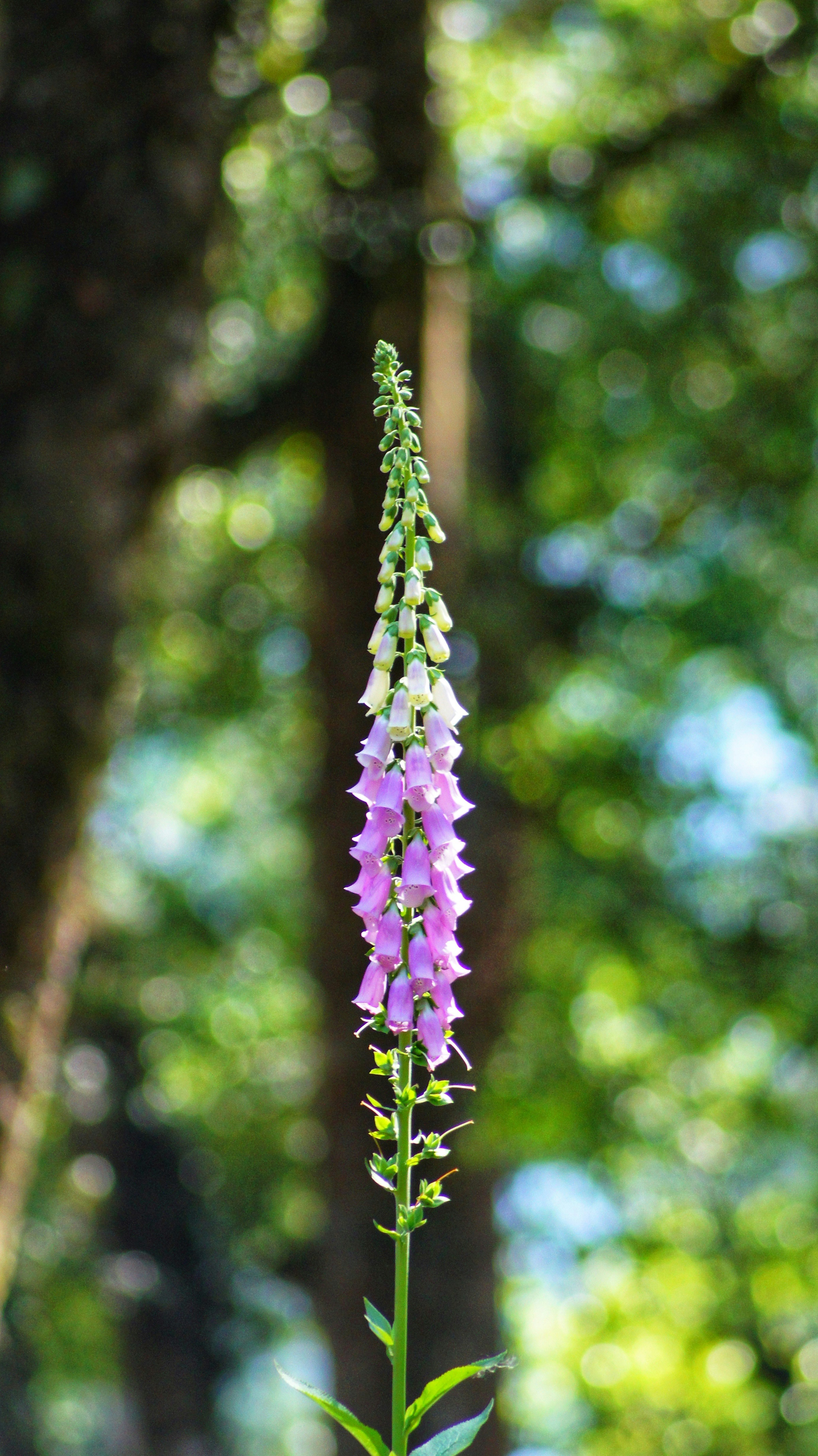 Photo by someghost95