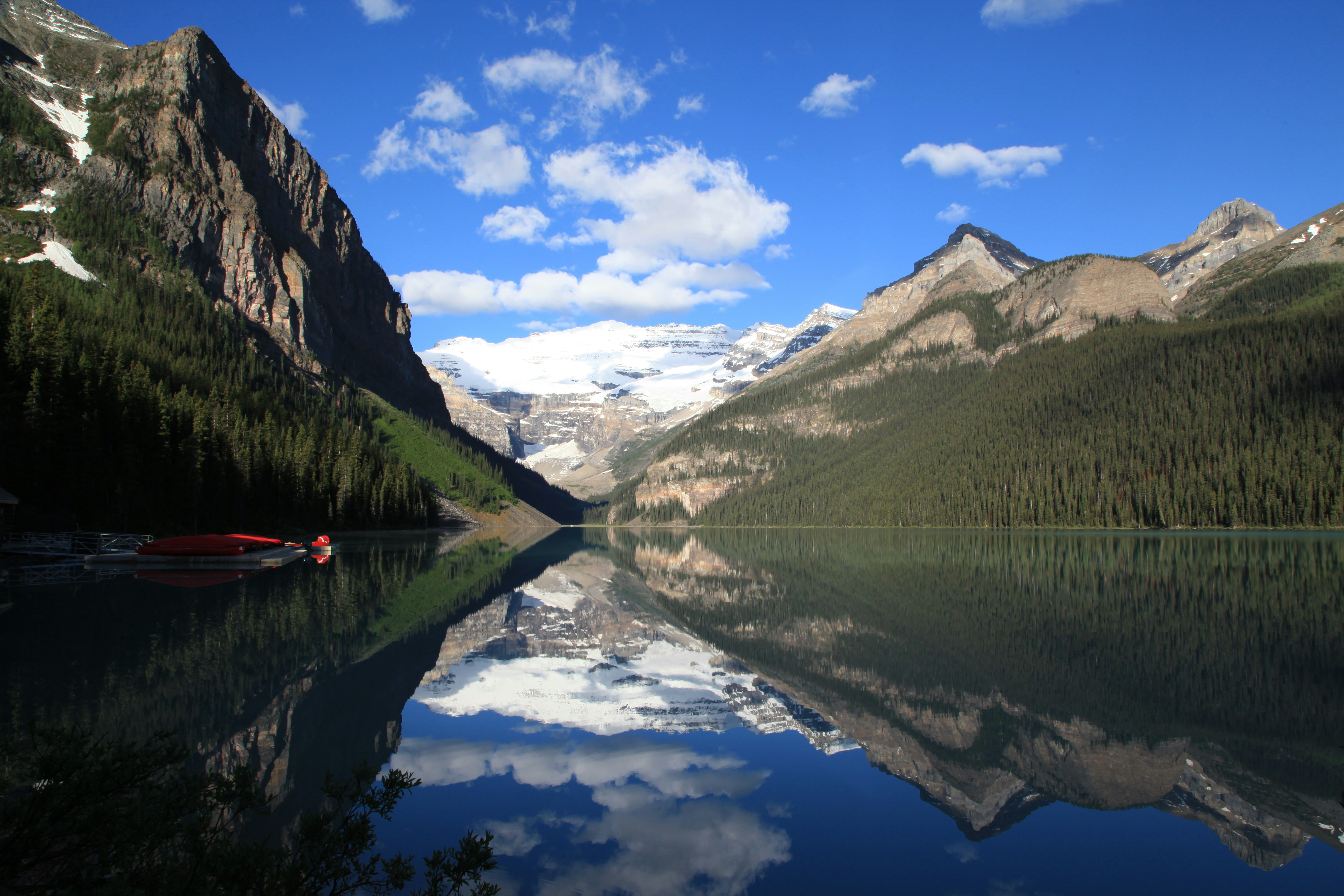 Photo by goldenplover31