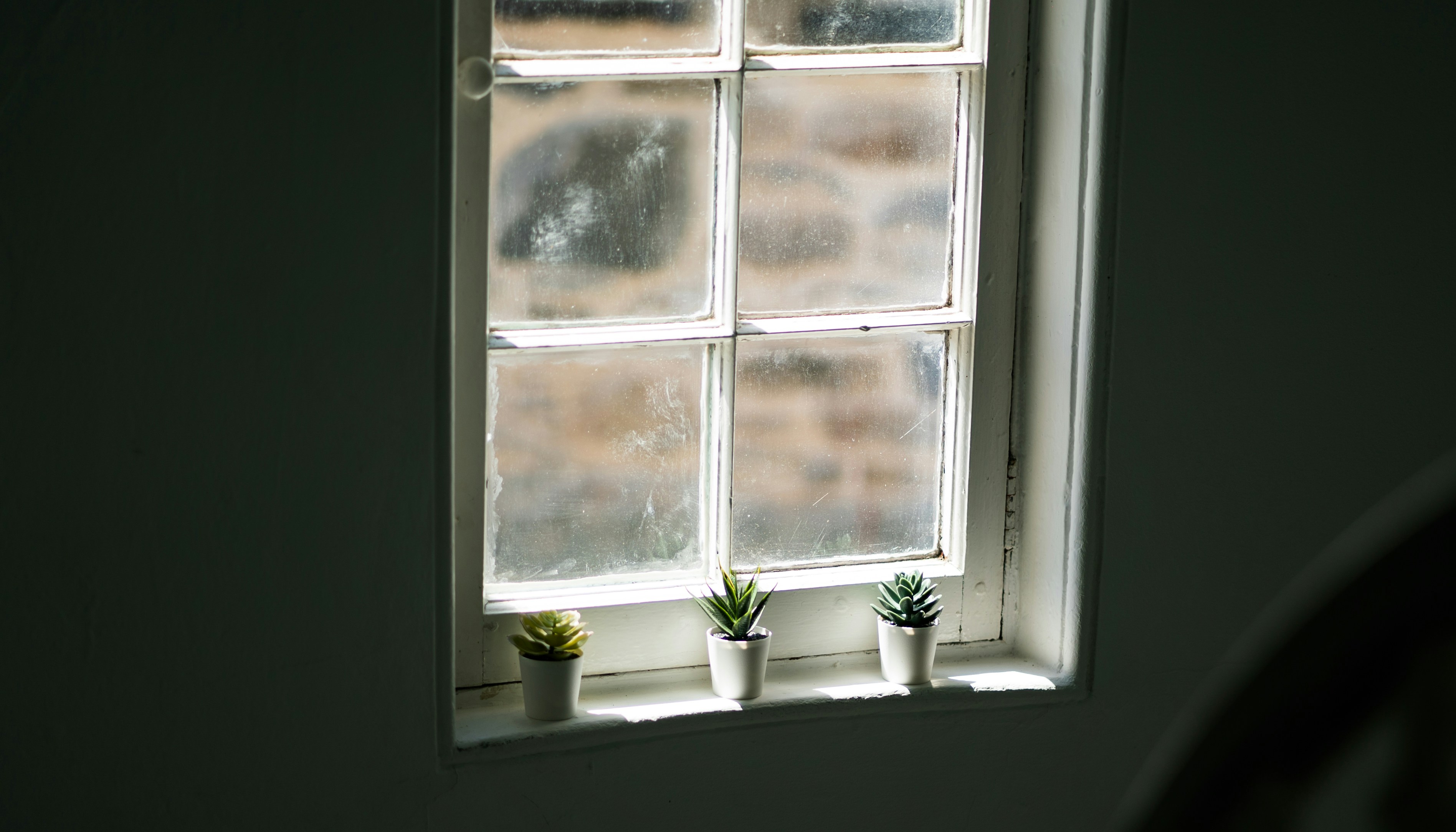 Photo by chrisdinozzi