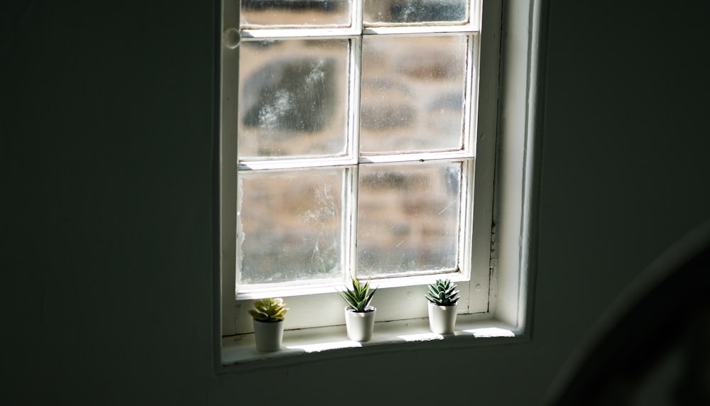 a window with potted plants