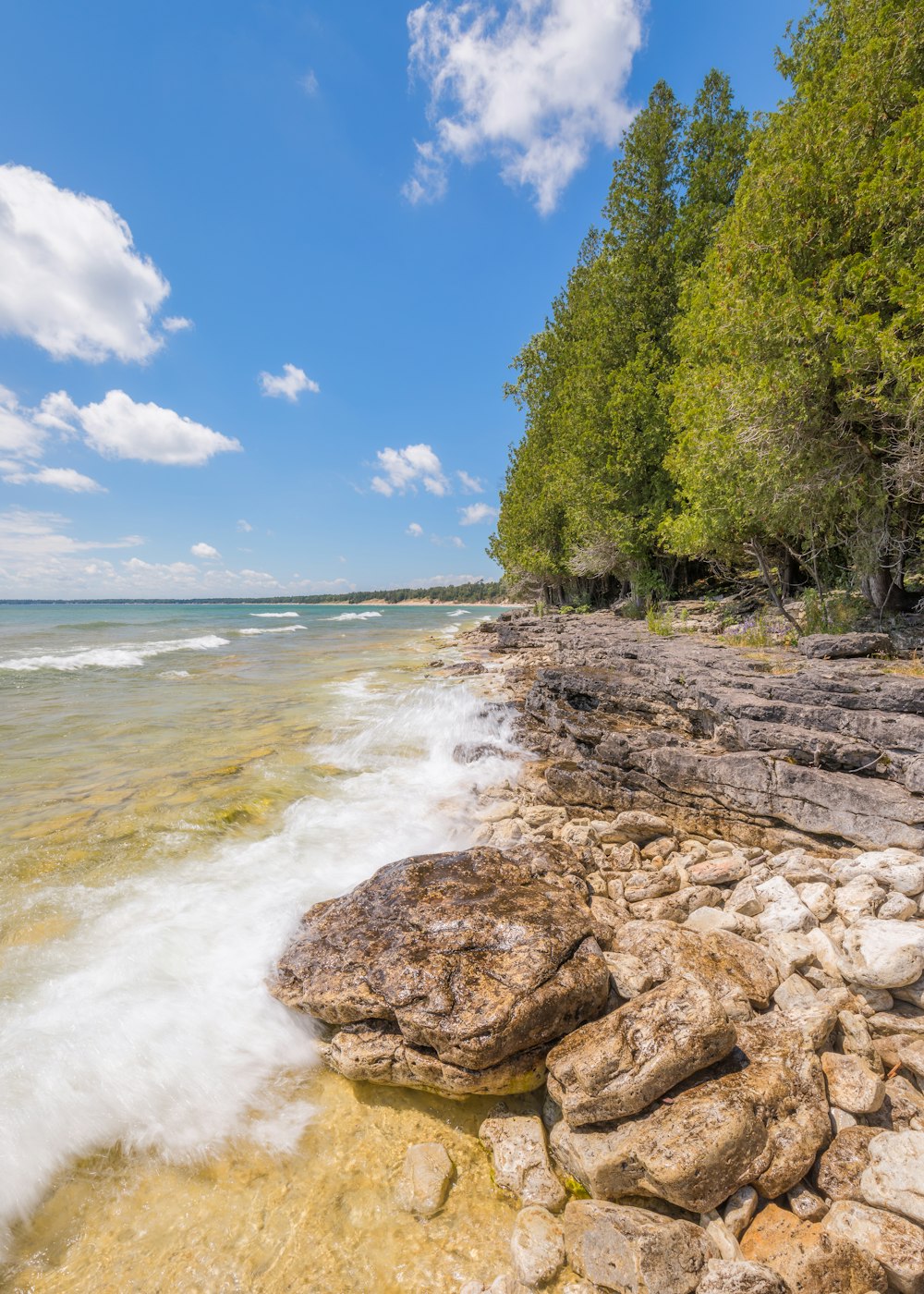 Ein felsiger Strand mit Bäumen und blauem Himmel