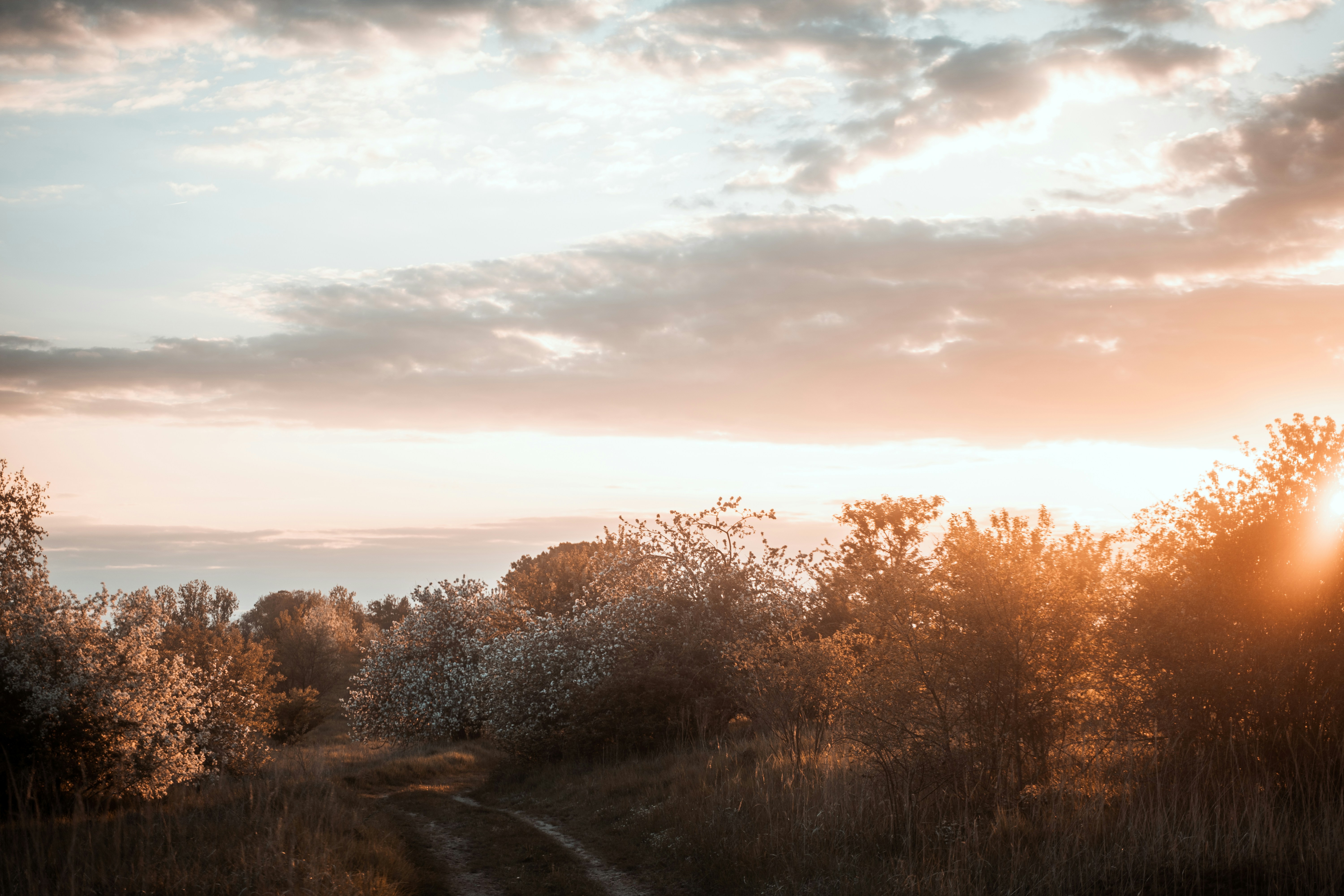 Photo by moritzlange