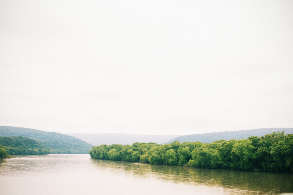 a body of water with trees on the side