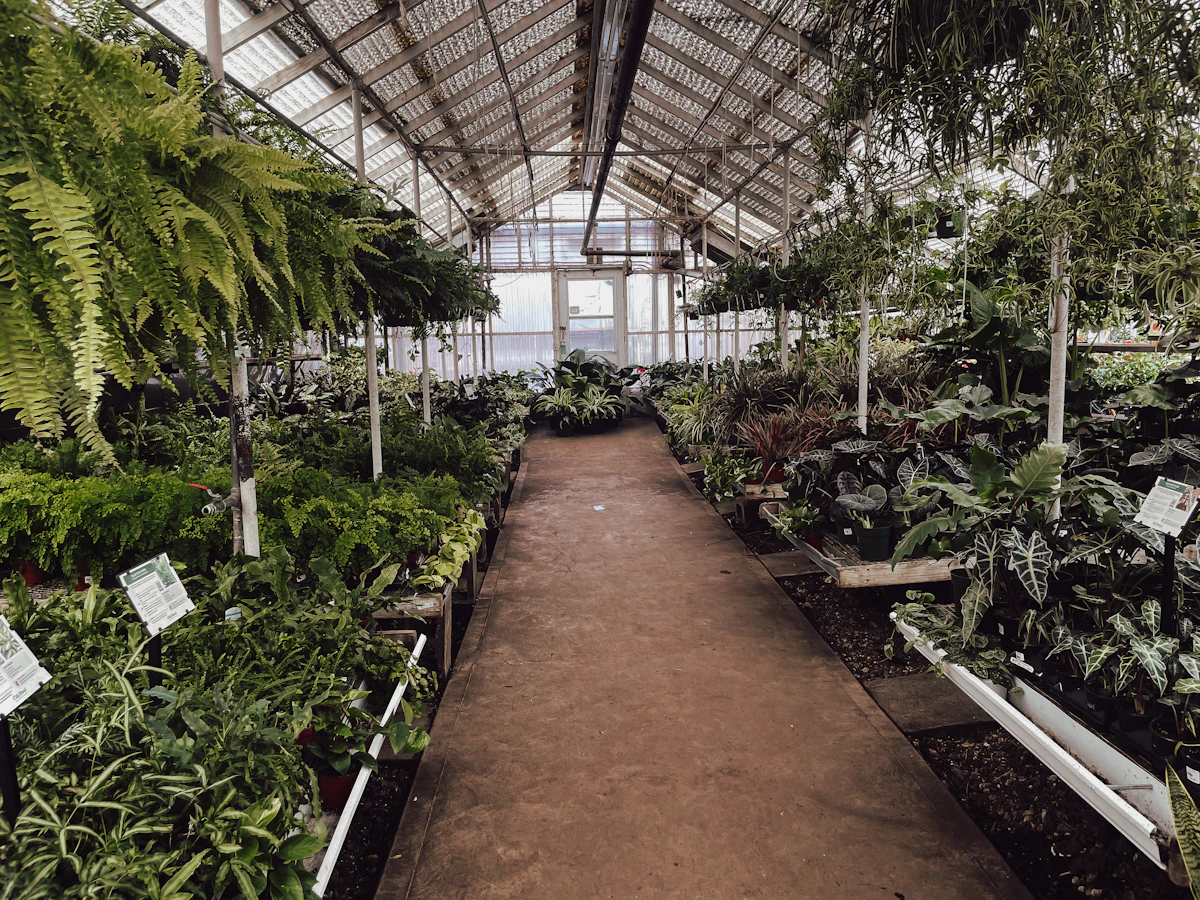 A greenhouse filled with plants and trees