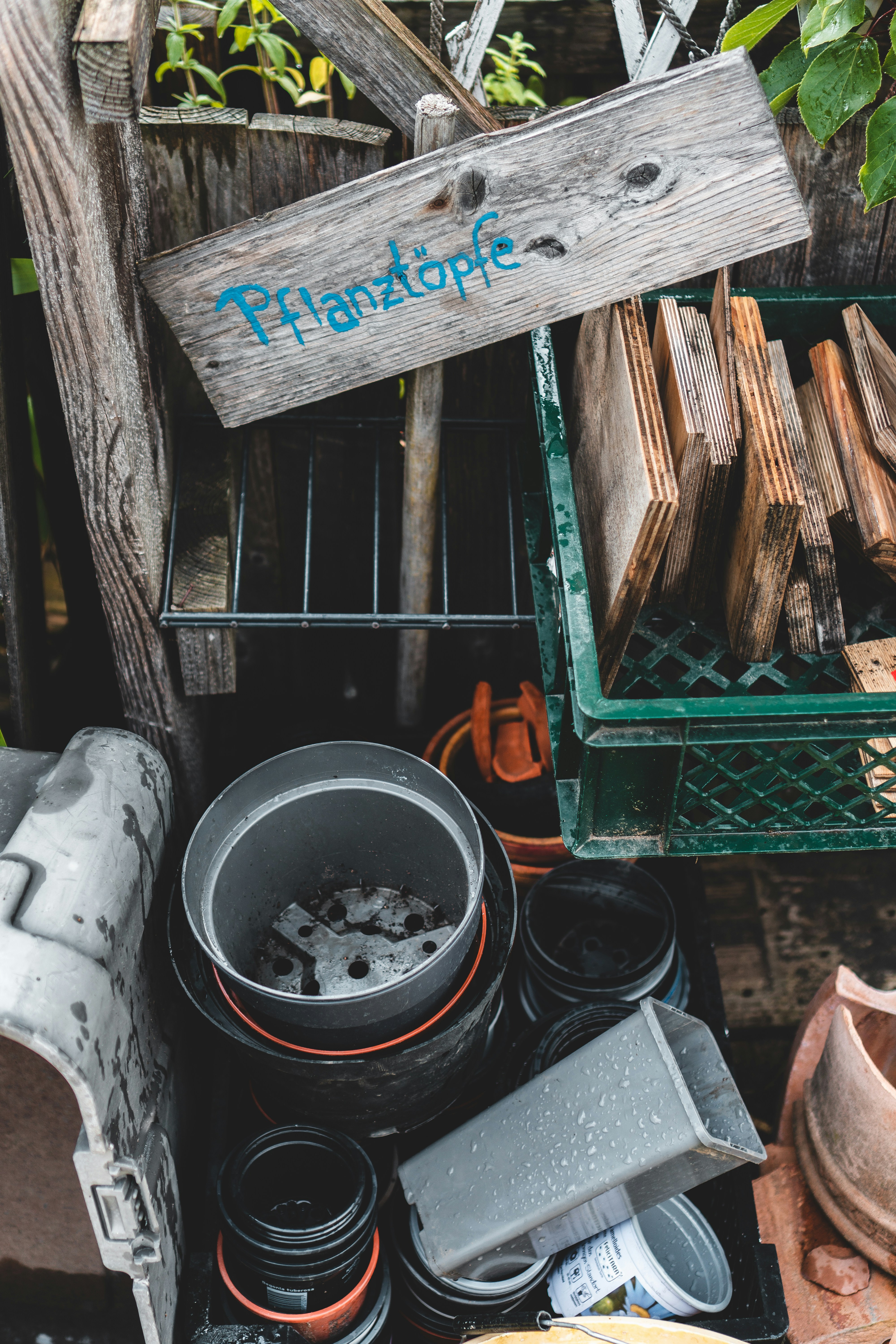 Garden supplies and landscaping materials outdoors, green plants and wood edging