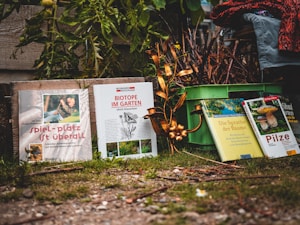 Taman Ajaib