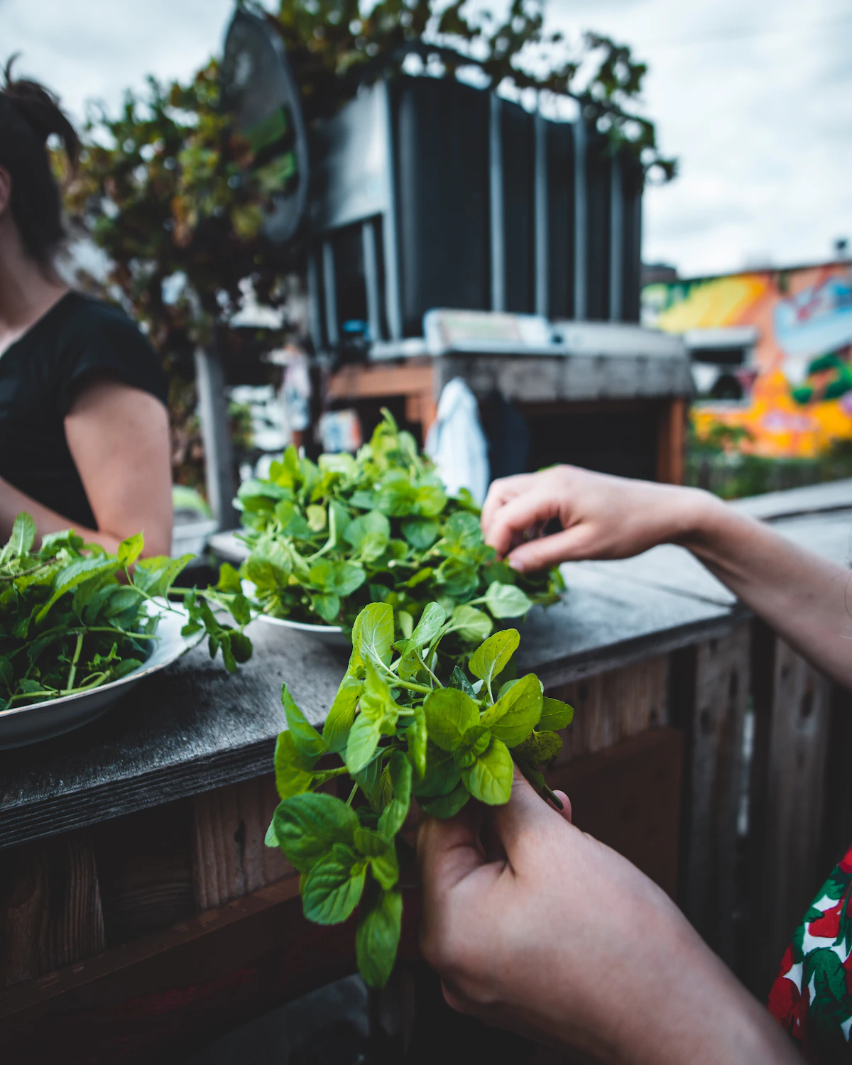 People planting plants together
