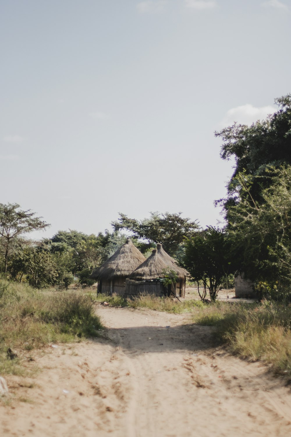 a house in the middle of a dirt road surrounded by trees