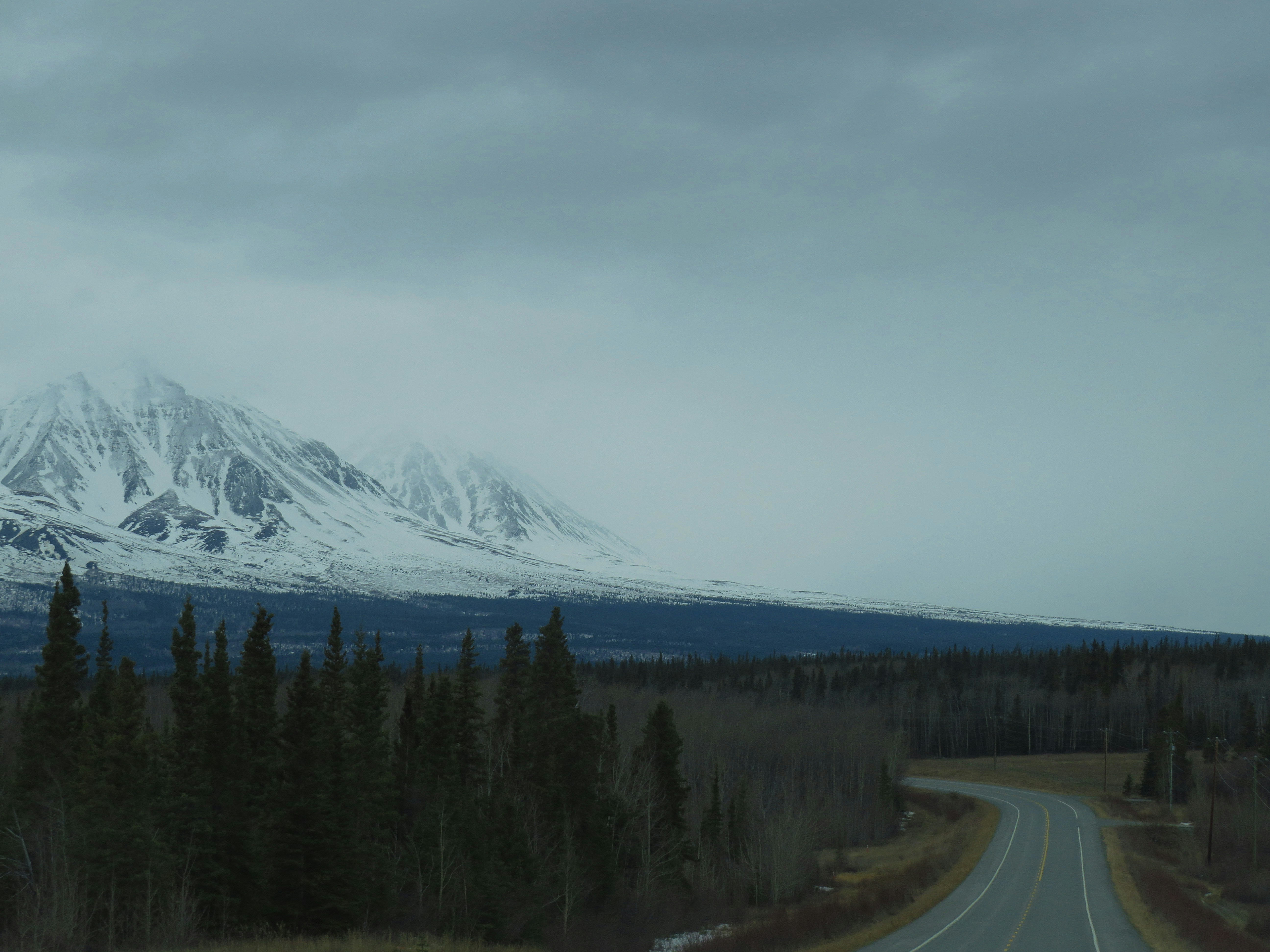 a road with trees and mountains in the background