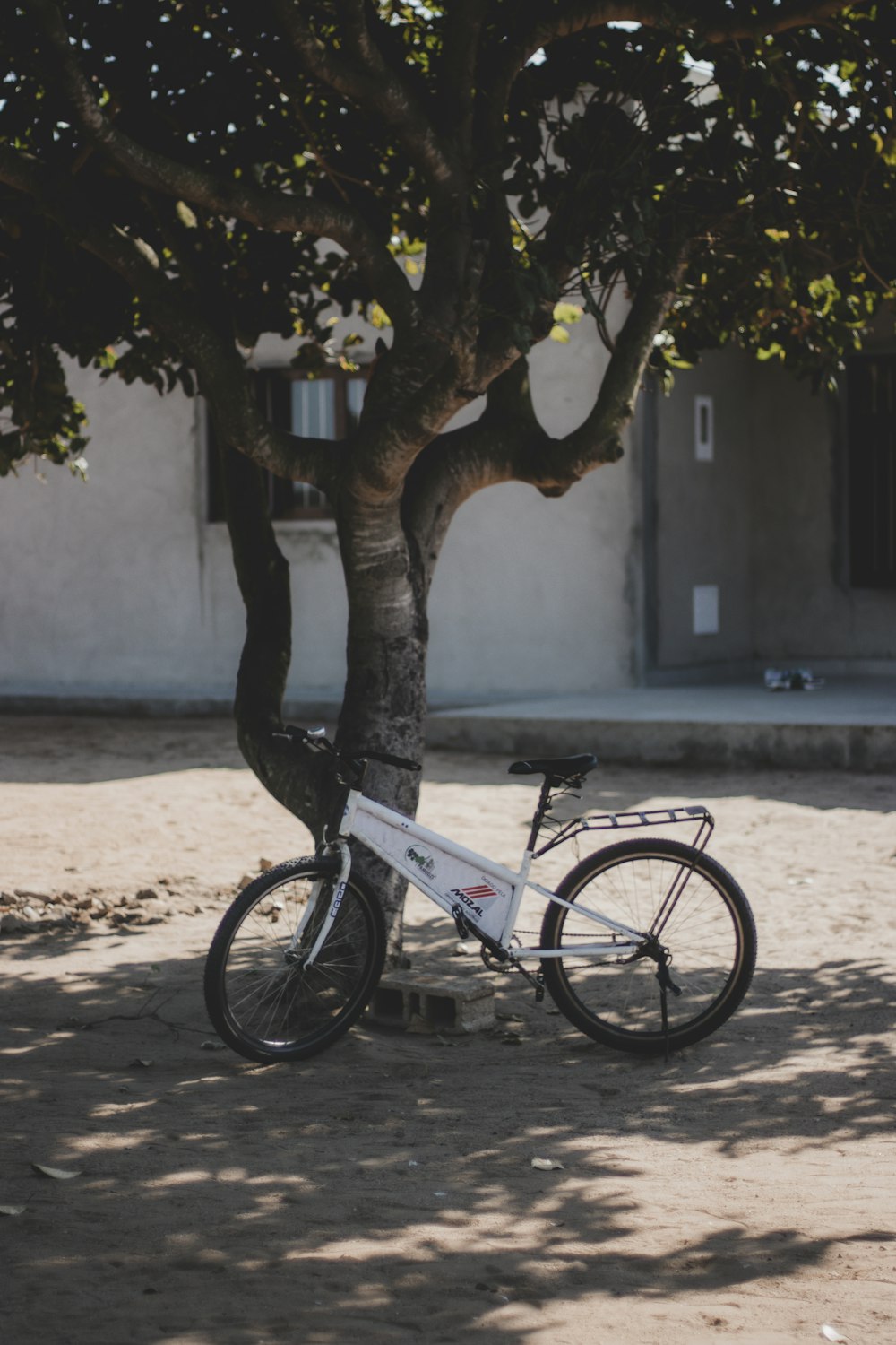 una bicicleta estacionada bajo un árbol