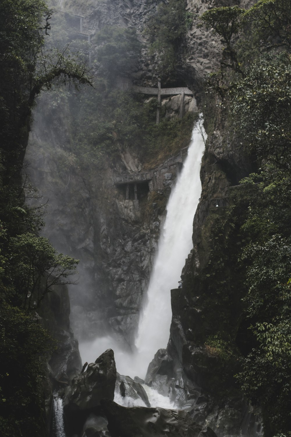 a waterfall in a forest