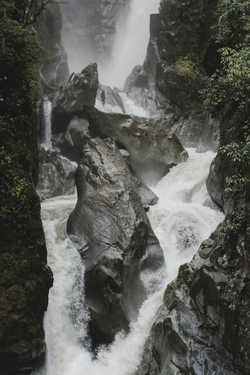 a waterfall with trees around it