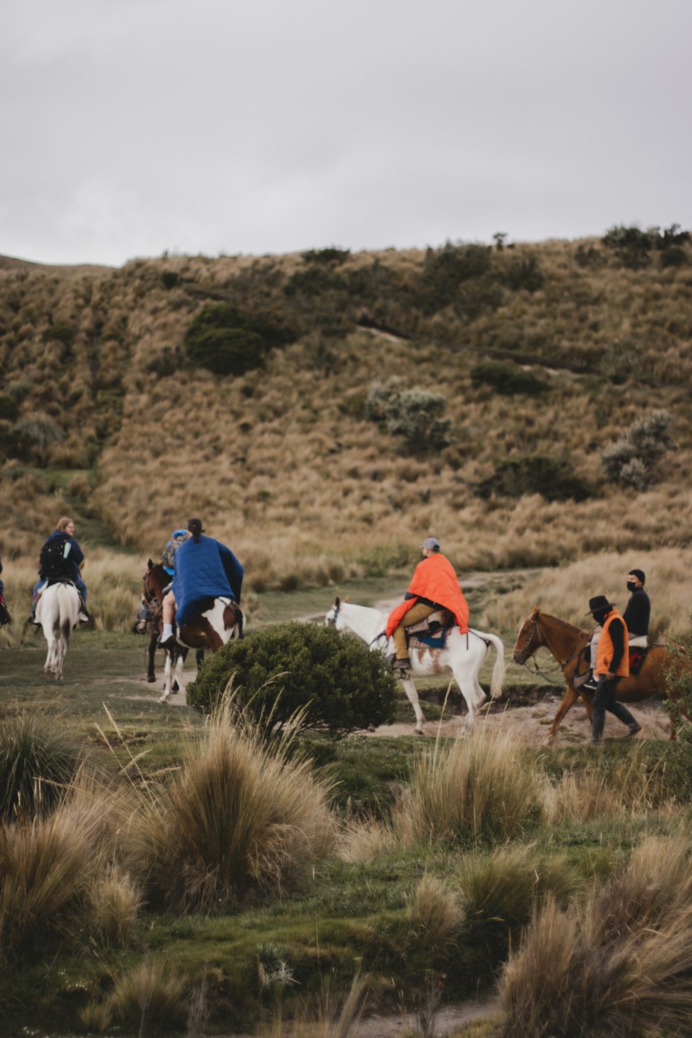 a group of people riding horses