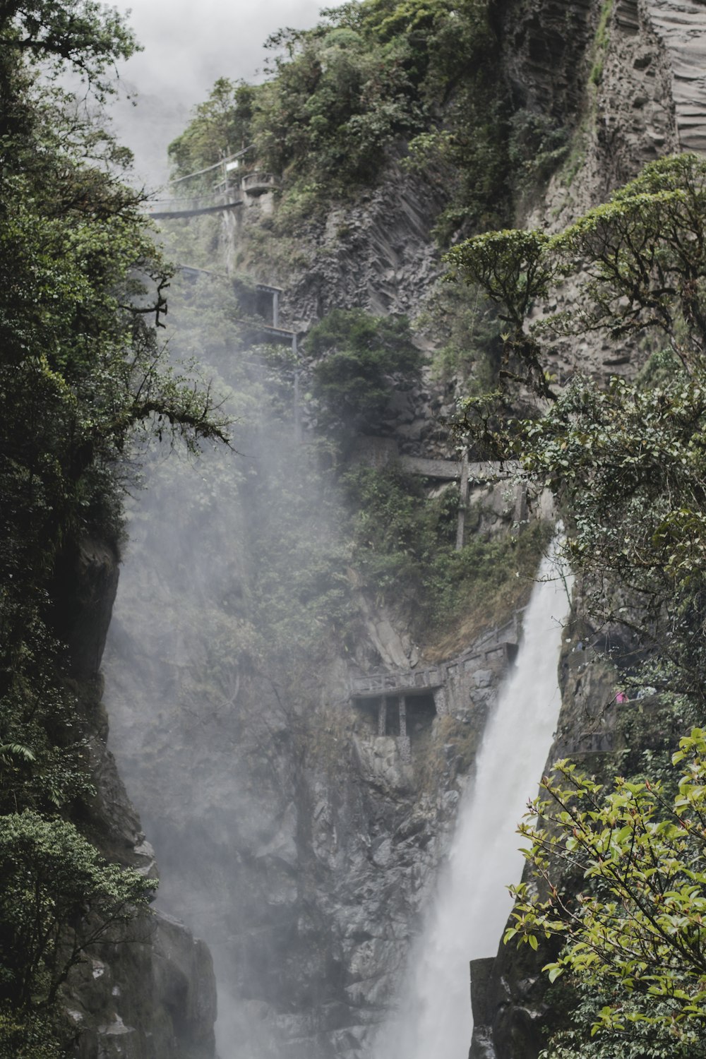 Elk Falls Provincial Park in a forest