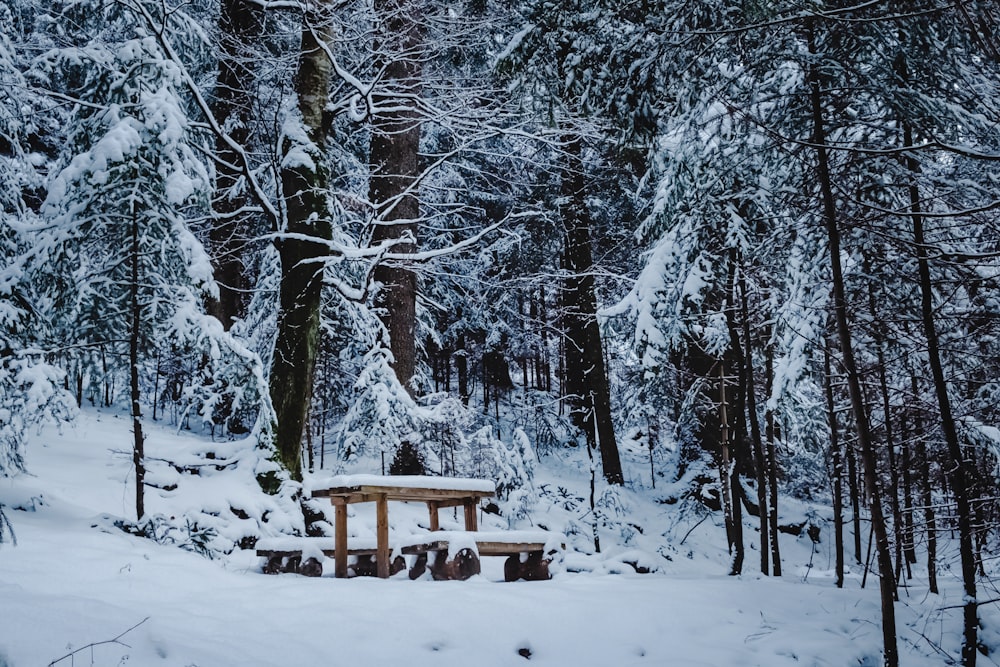a picnic table in the snow