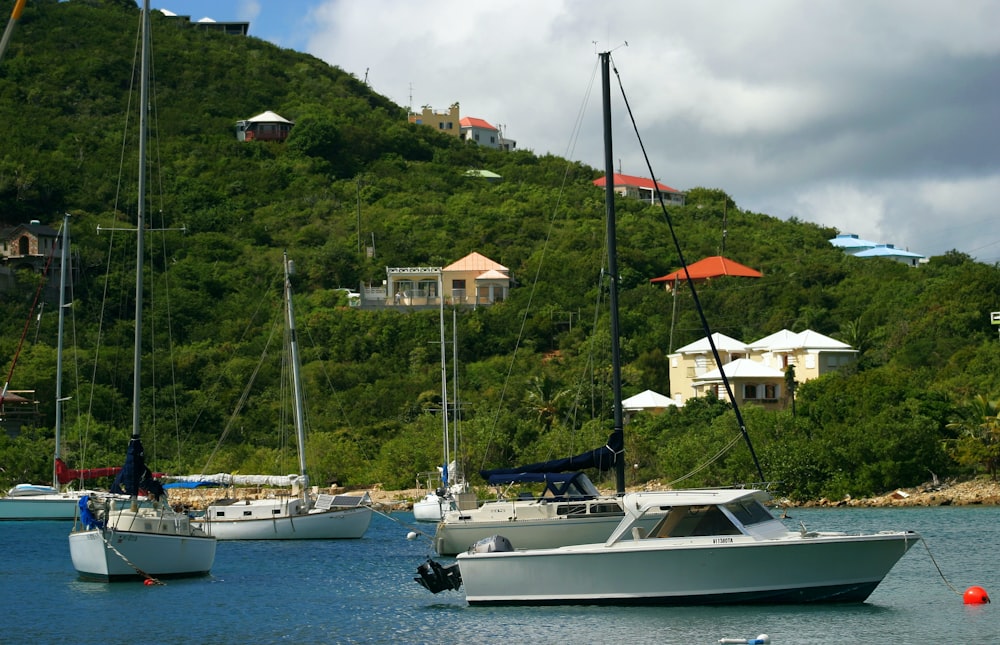 a group of boats sit in a harbor