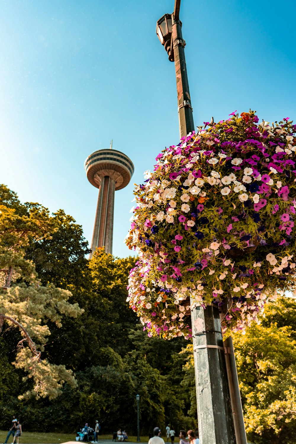 ein hoher Turm mit Blumen davor