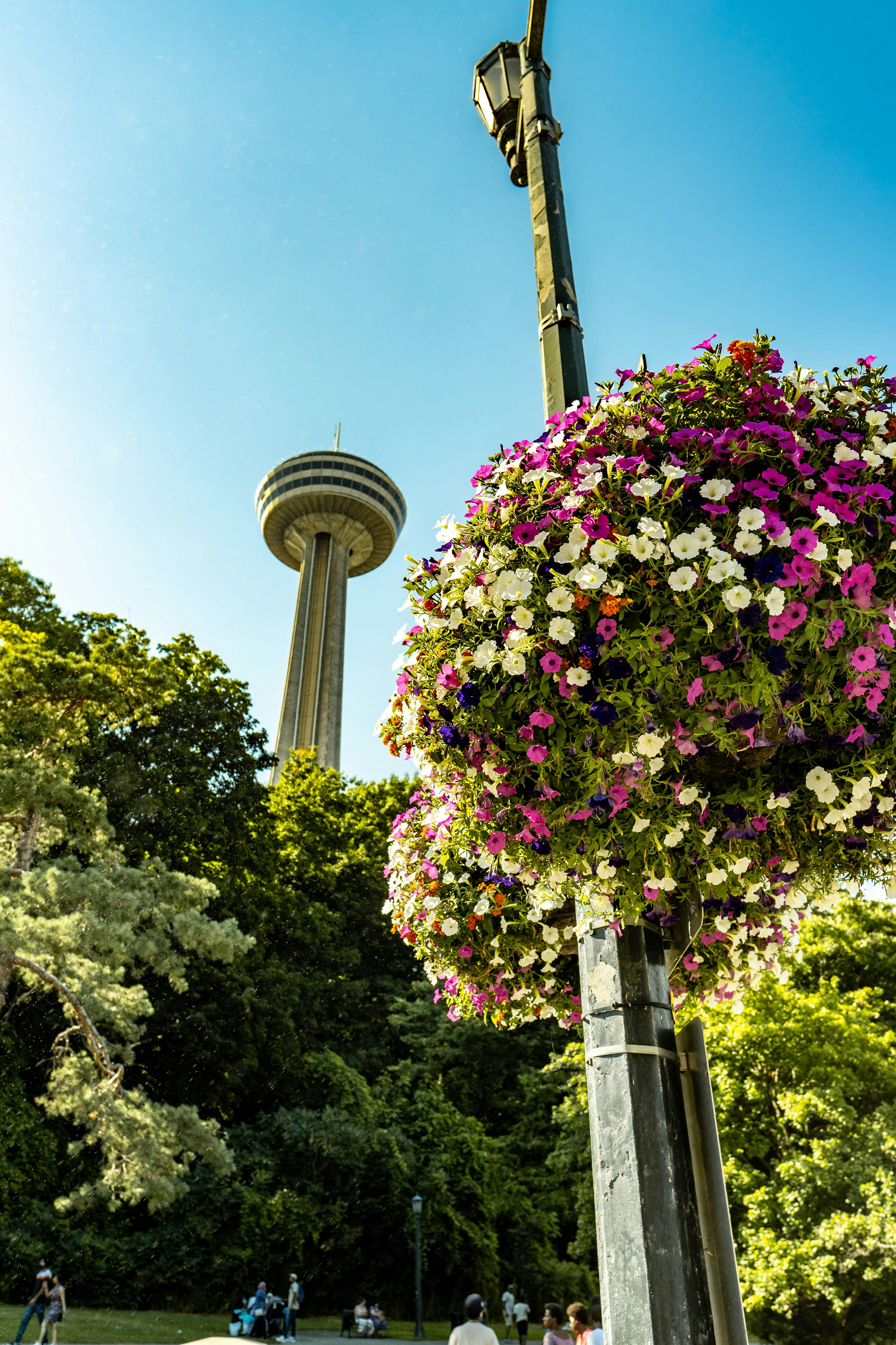 Photo by the_ahnafpiash