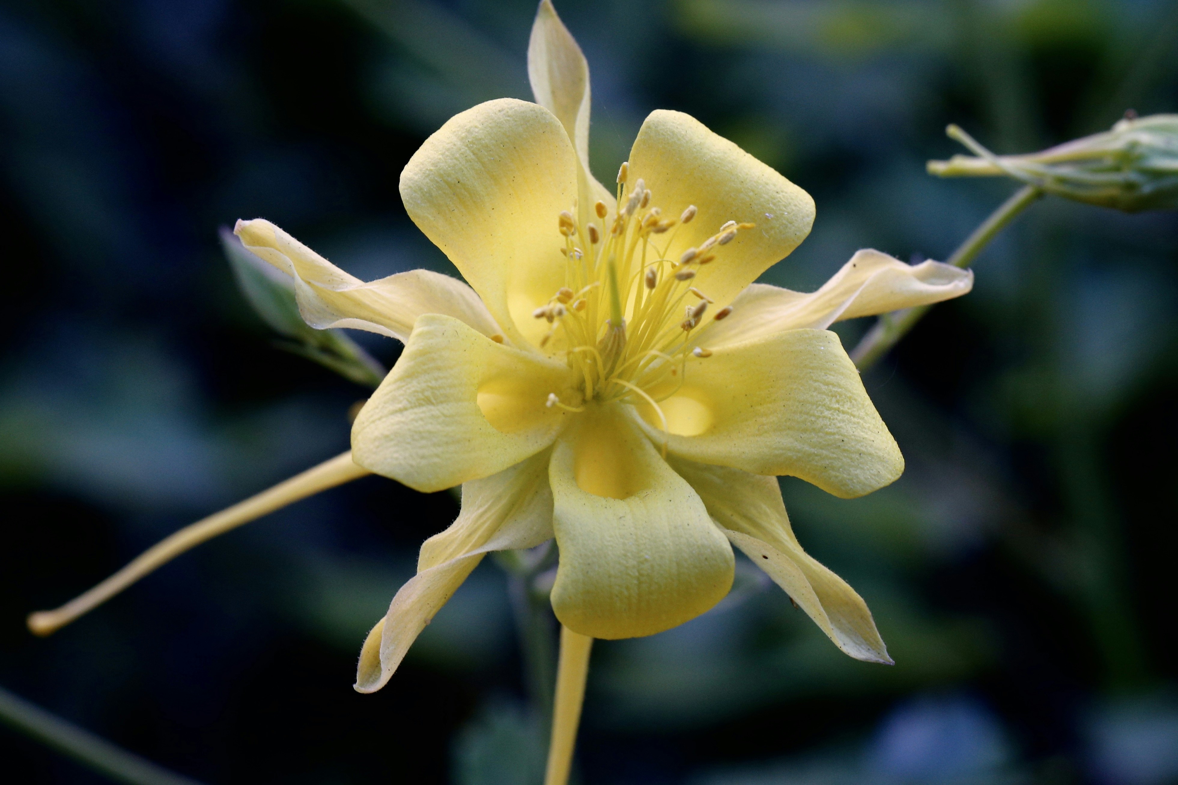 Photo by billandtober22