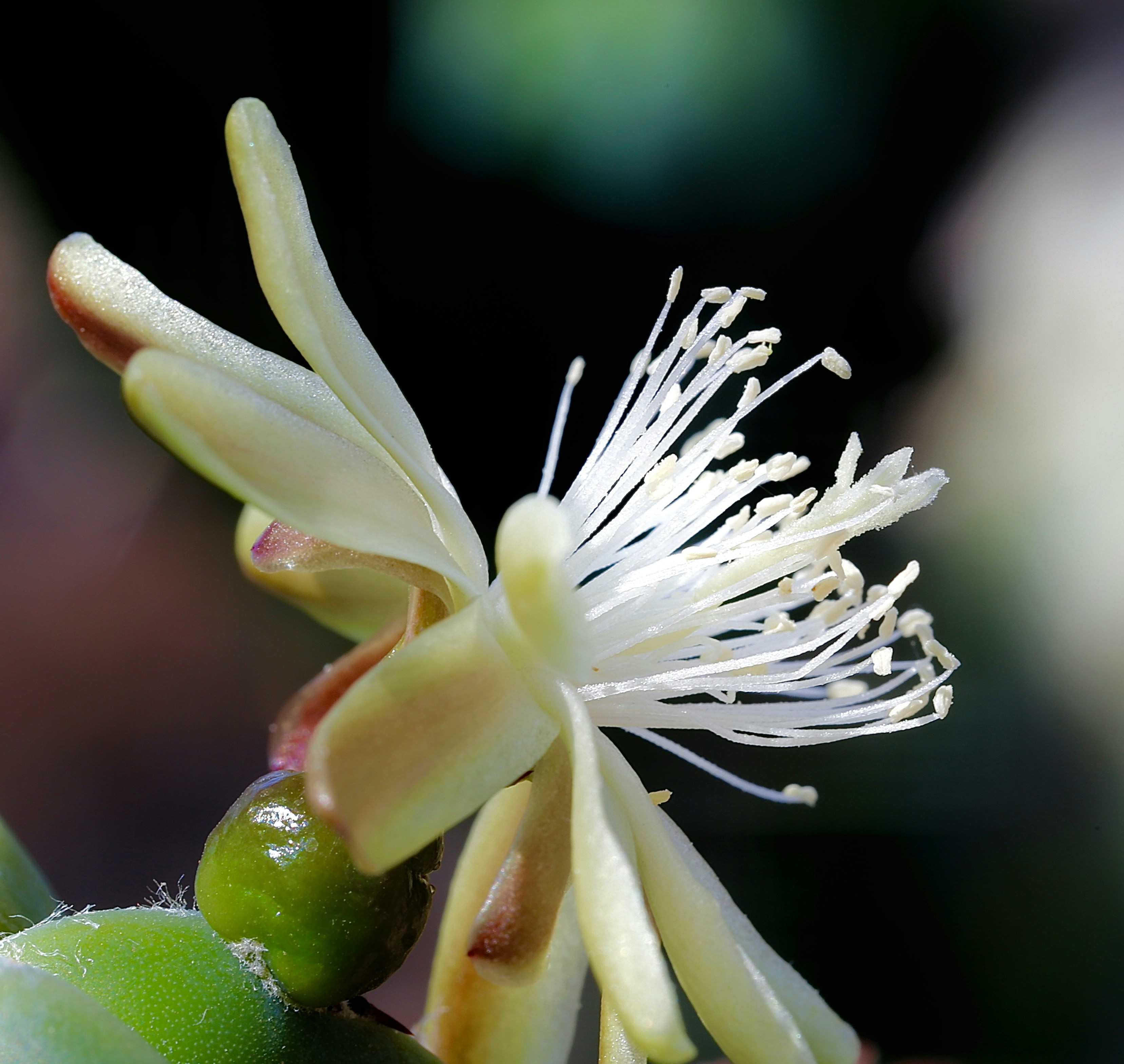 Photo by billandtober22