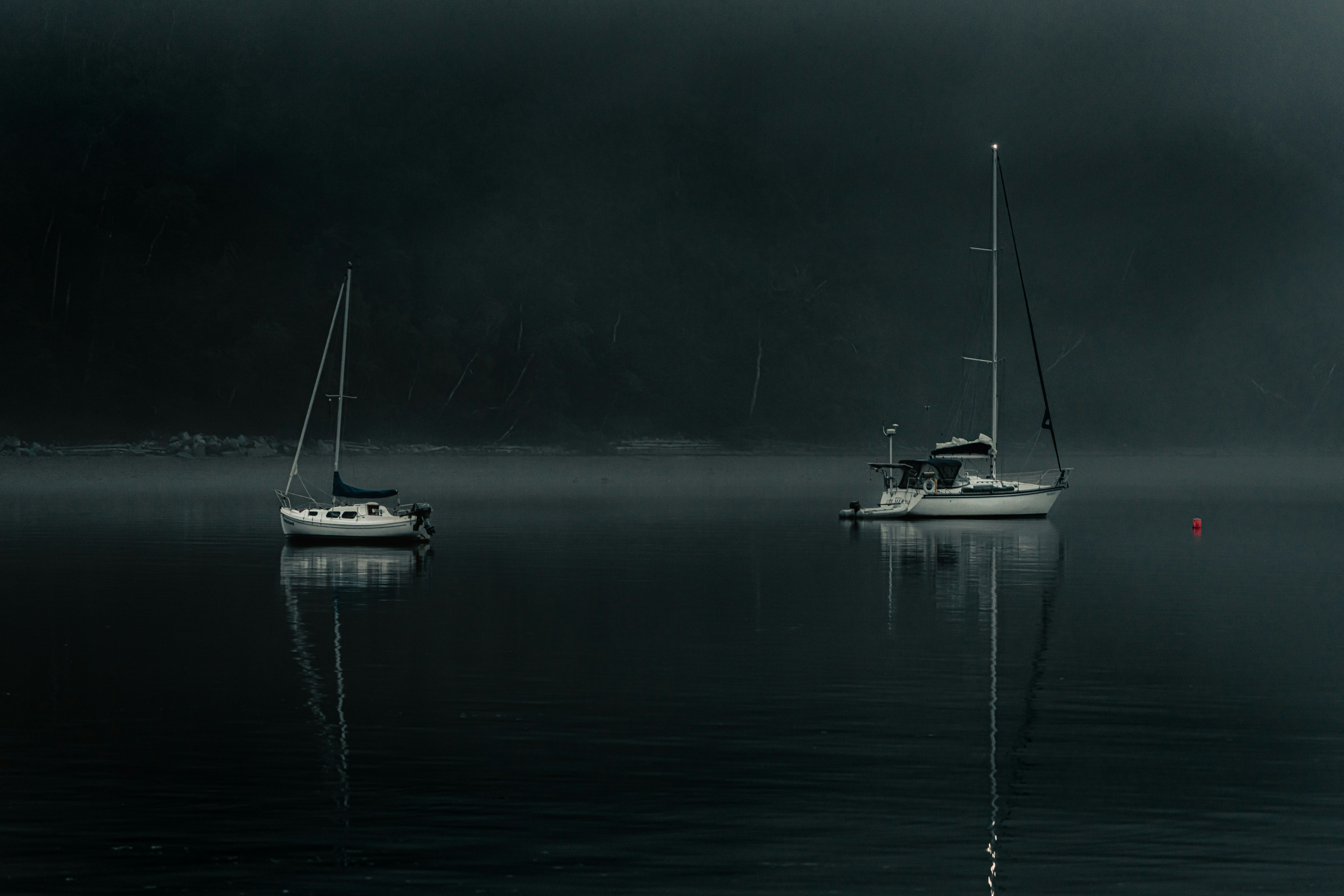 Photo by withvince