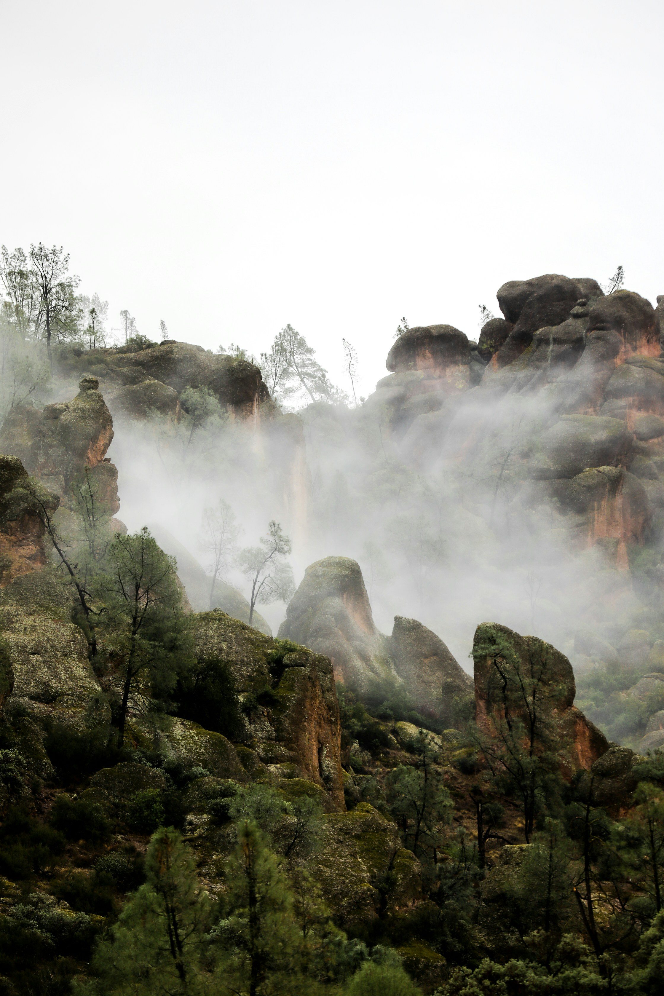 a rocky cliff with trees and fog