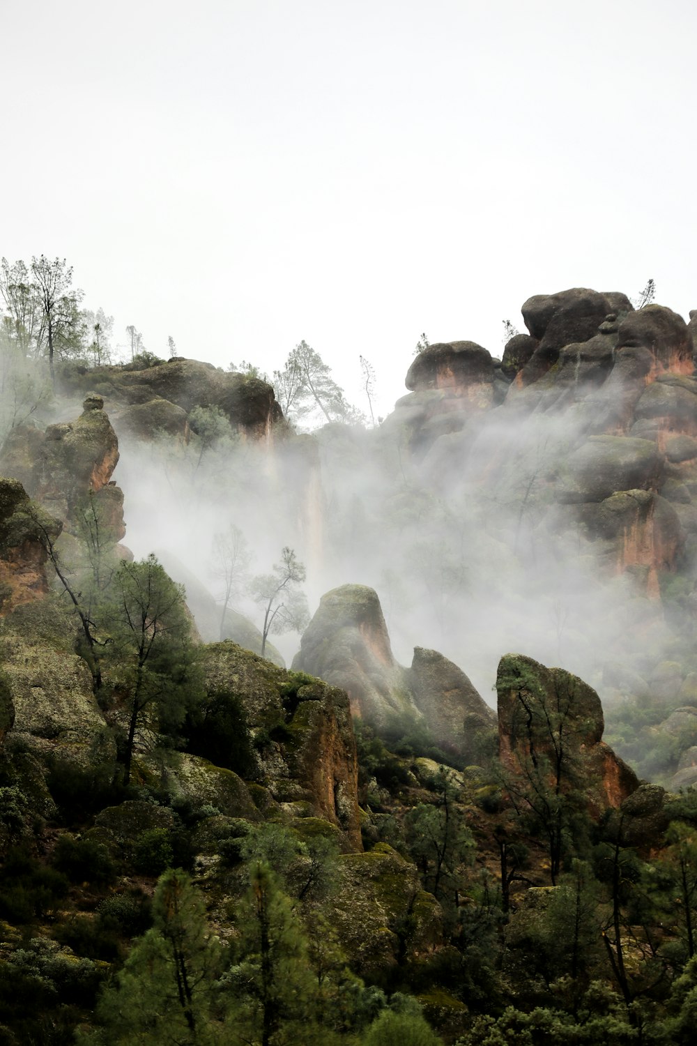 a rocky cliff with trees and fog