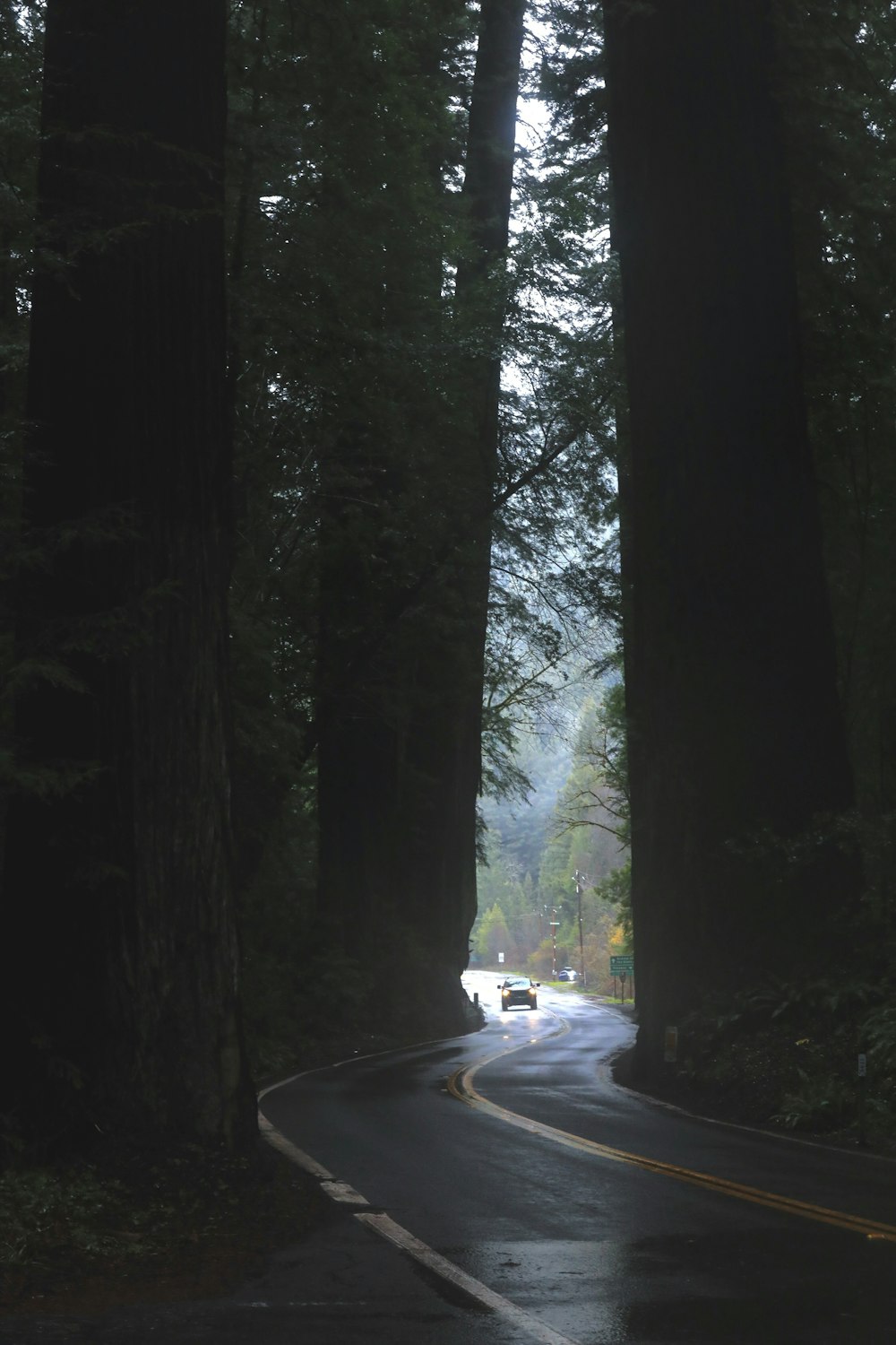 a road with trees on the side