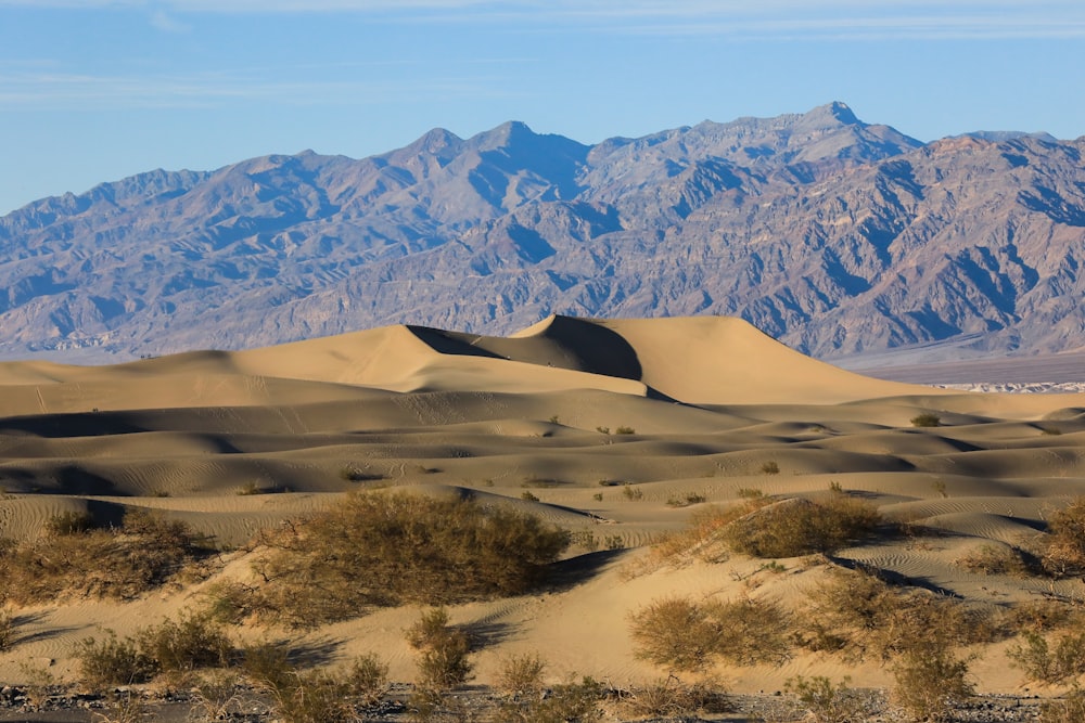 a desert landscape with mountains in the background with Great Sand Dunes National Park and Preserve in the background