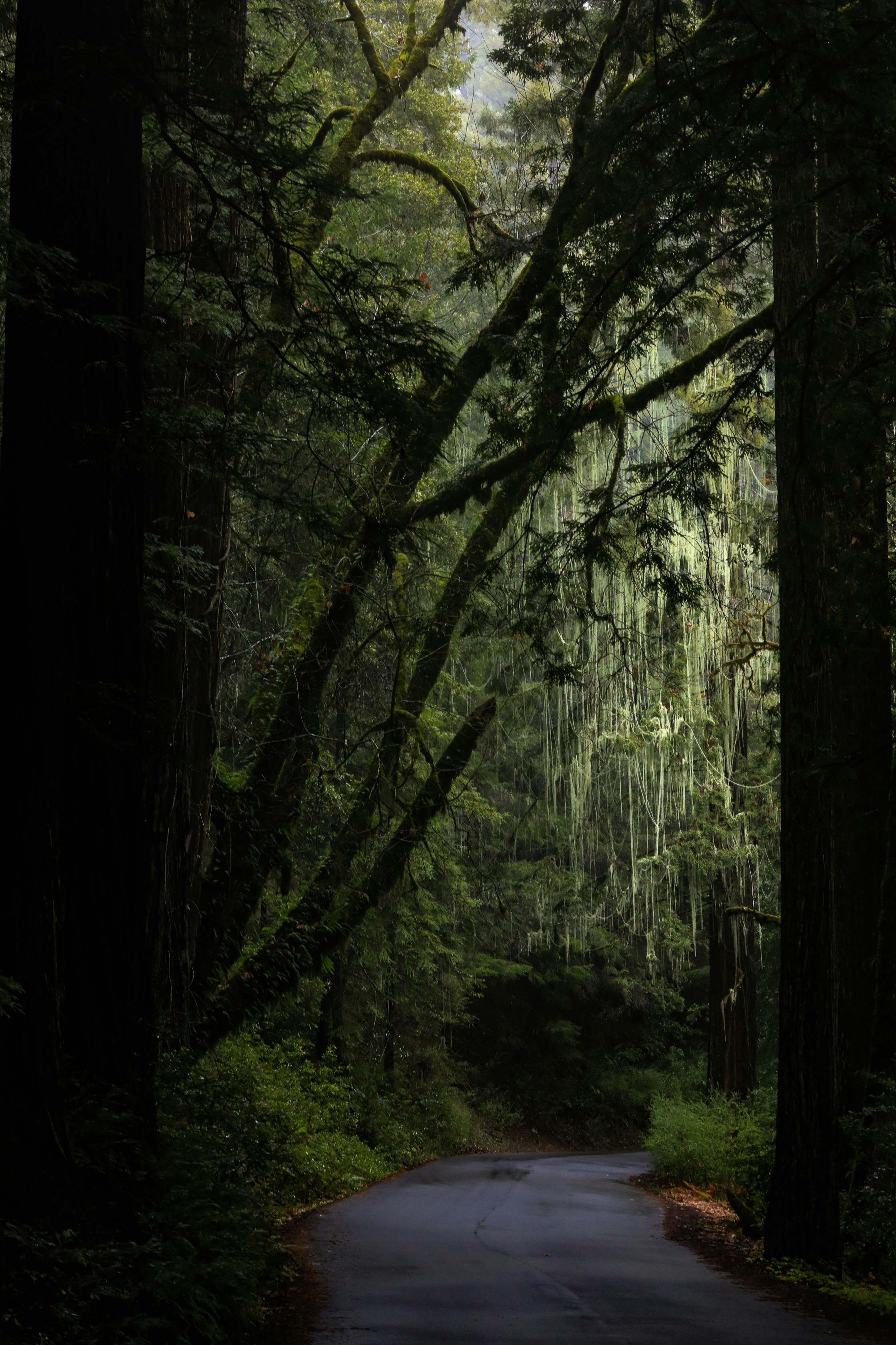 Photo by prasad_hikes