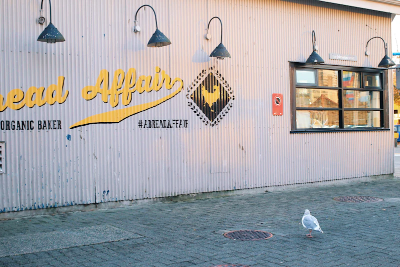 Hidden and Underrated Cafes in Vancouver That Most Tourists Miss