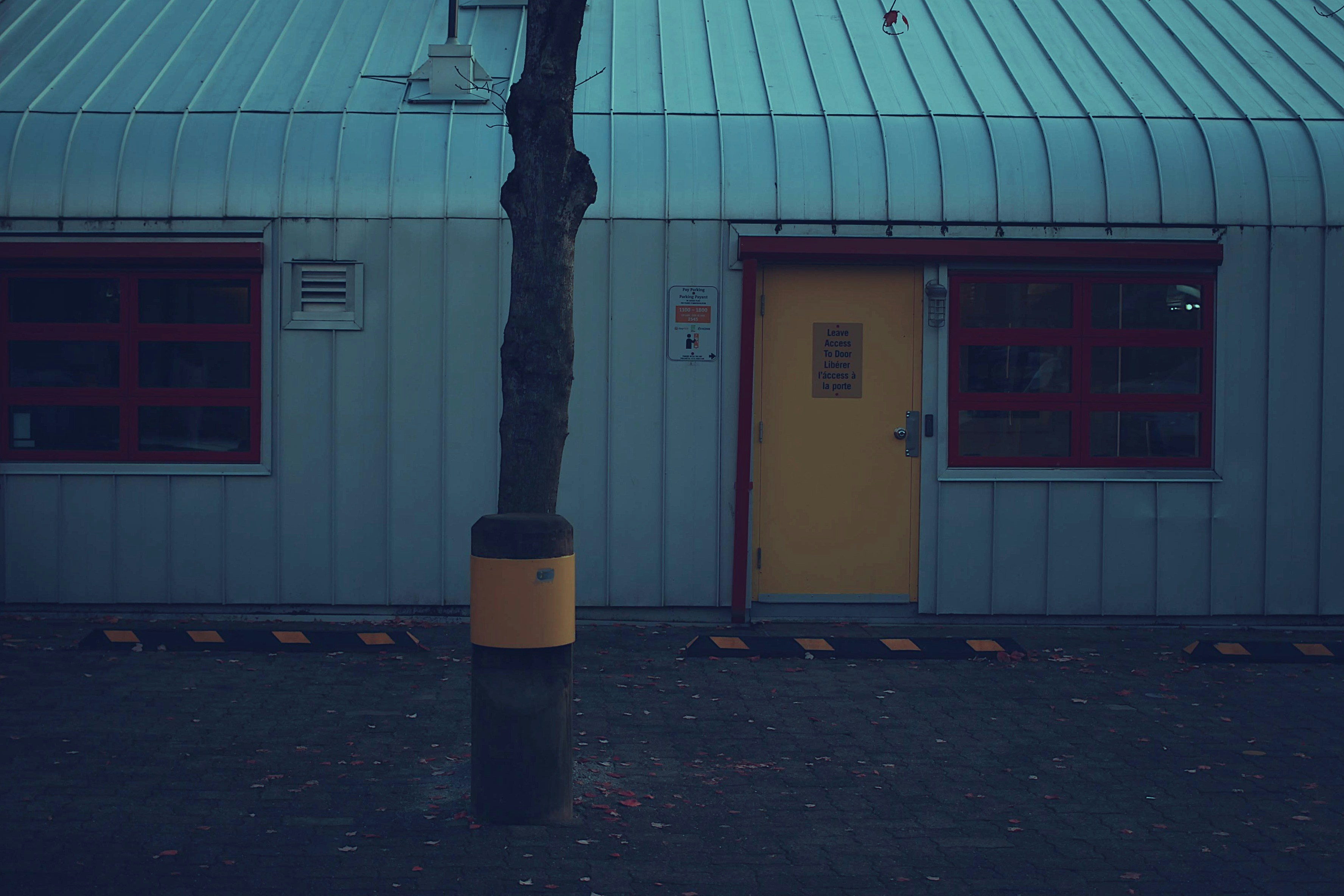 a tree next to a building