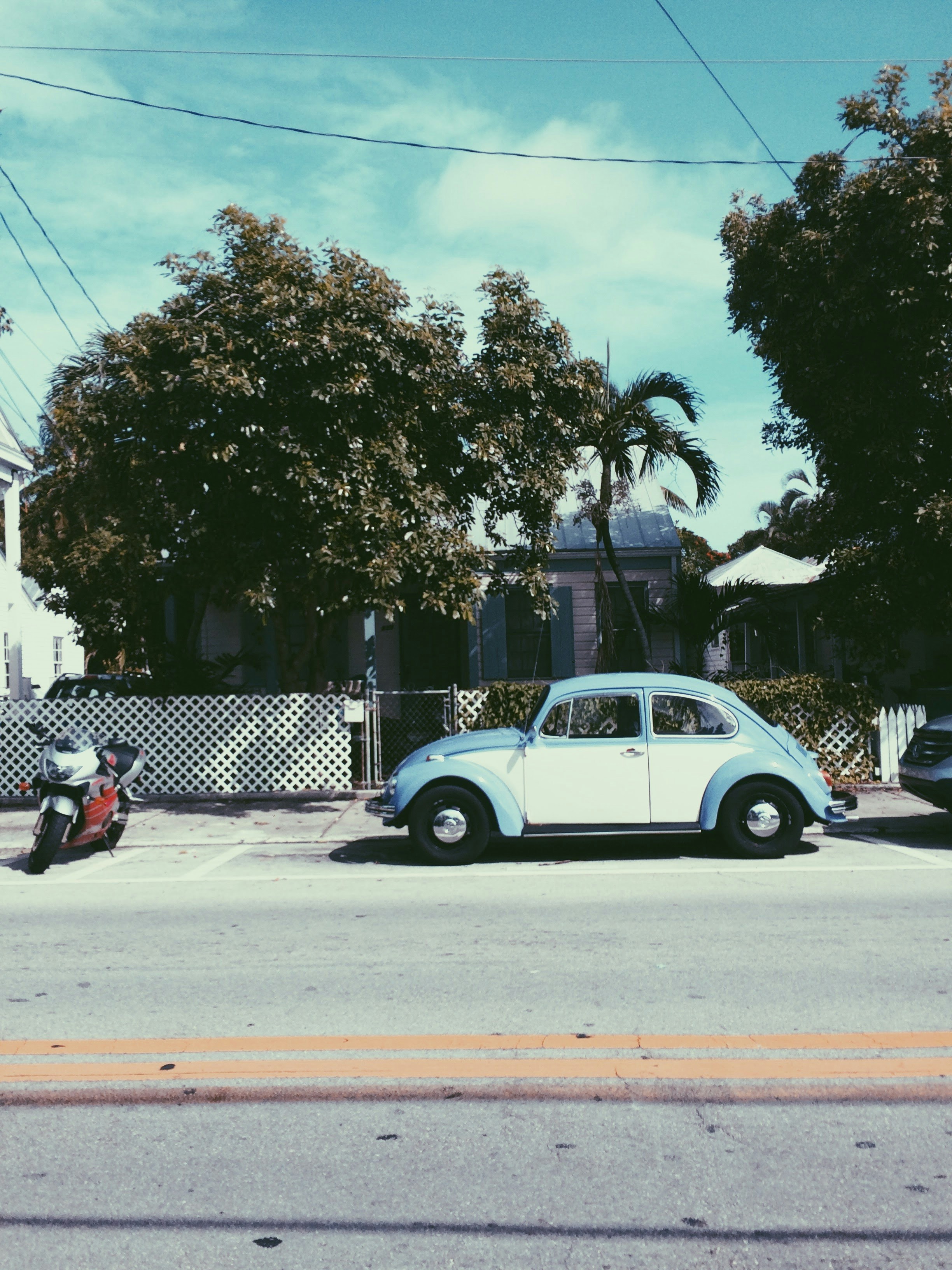 Photo by megjenson