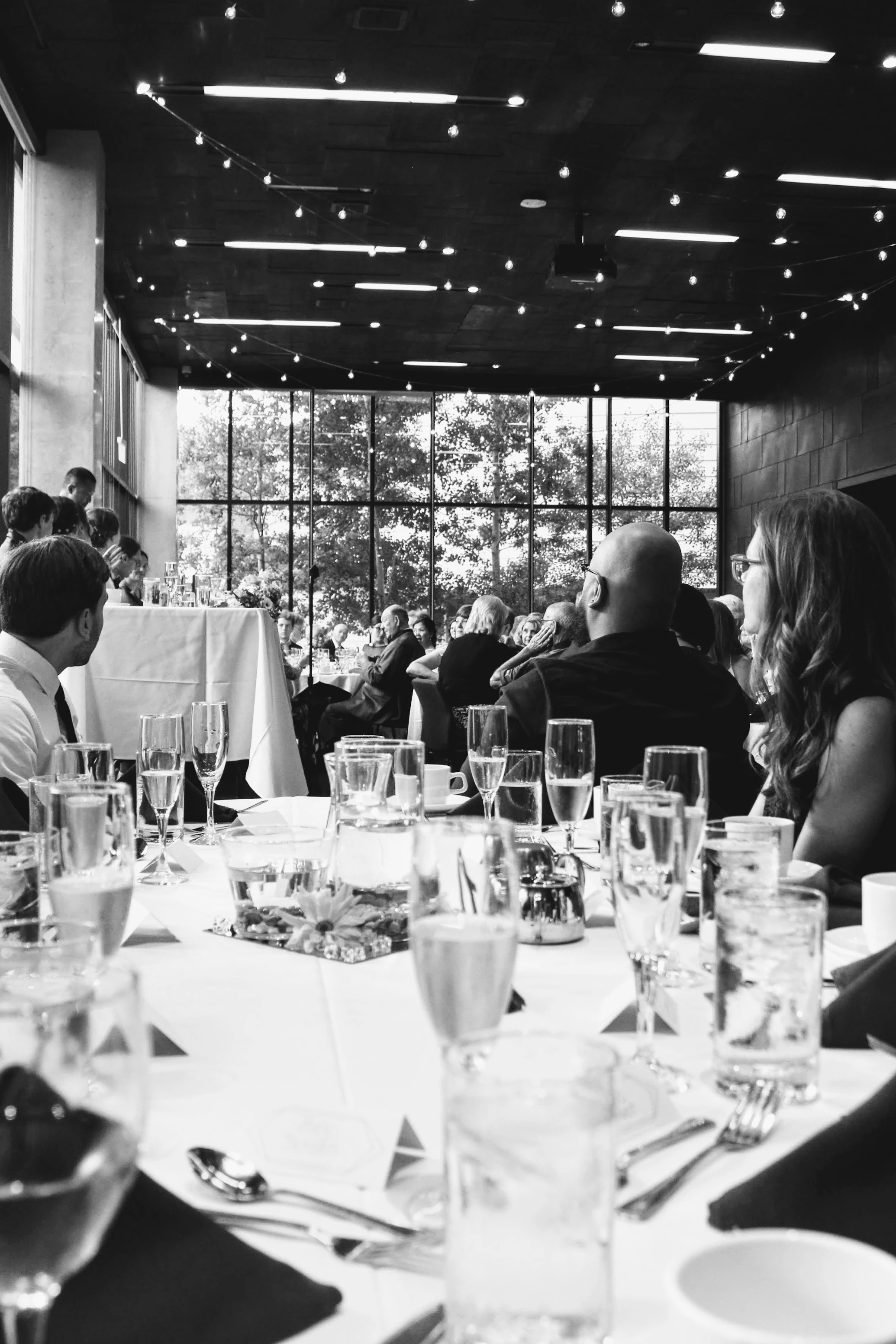Professional Media and Videography at Event