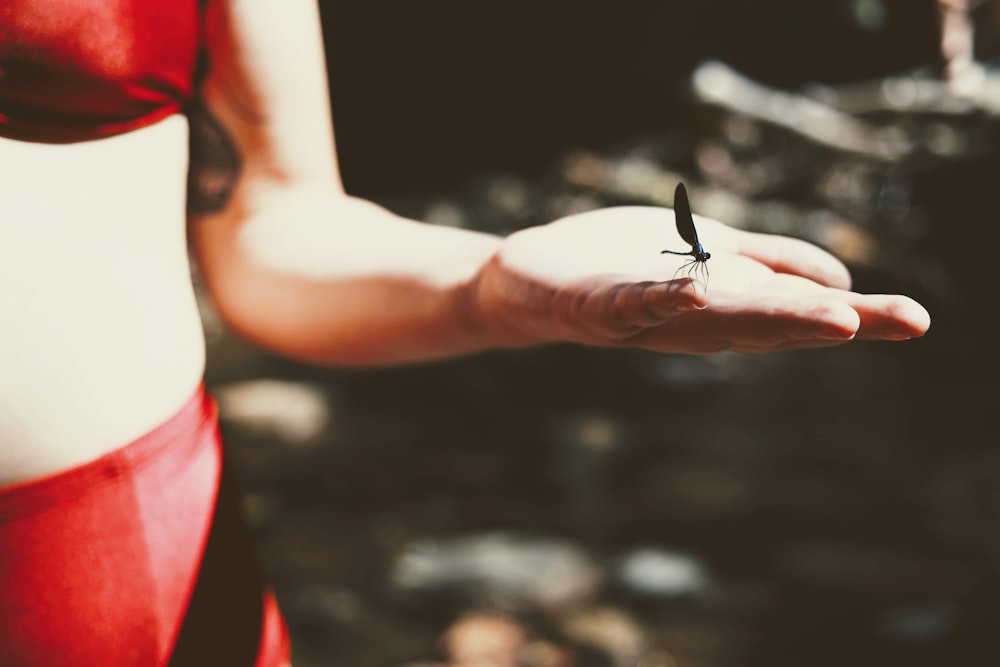 a person holding a small bird