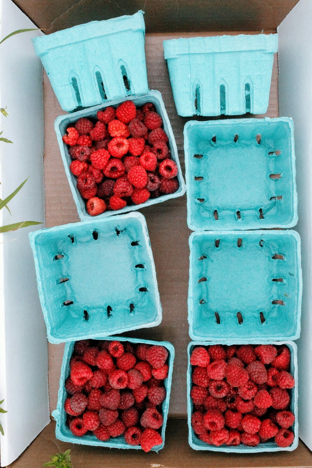 a table full of strawberries