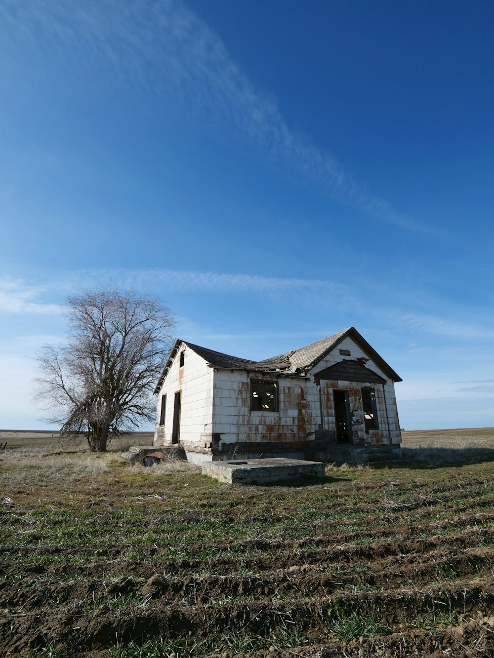 a house in a field