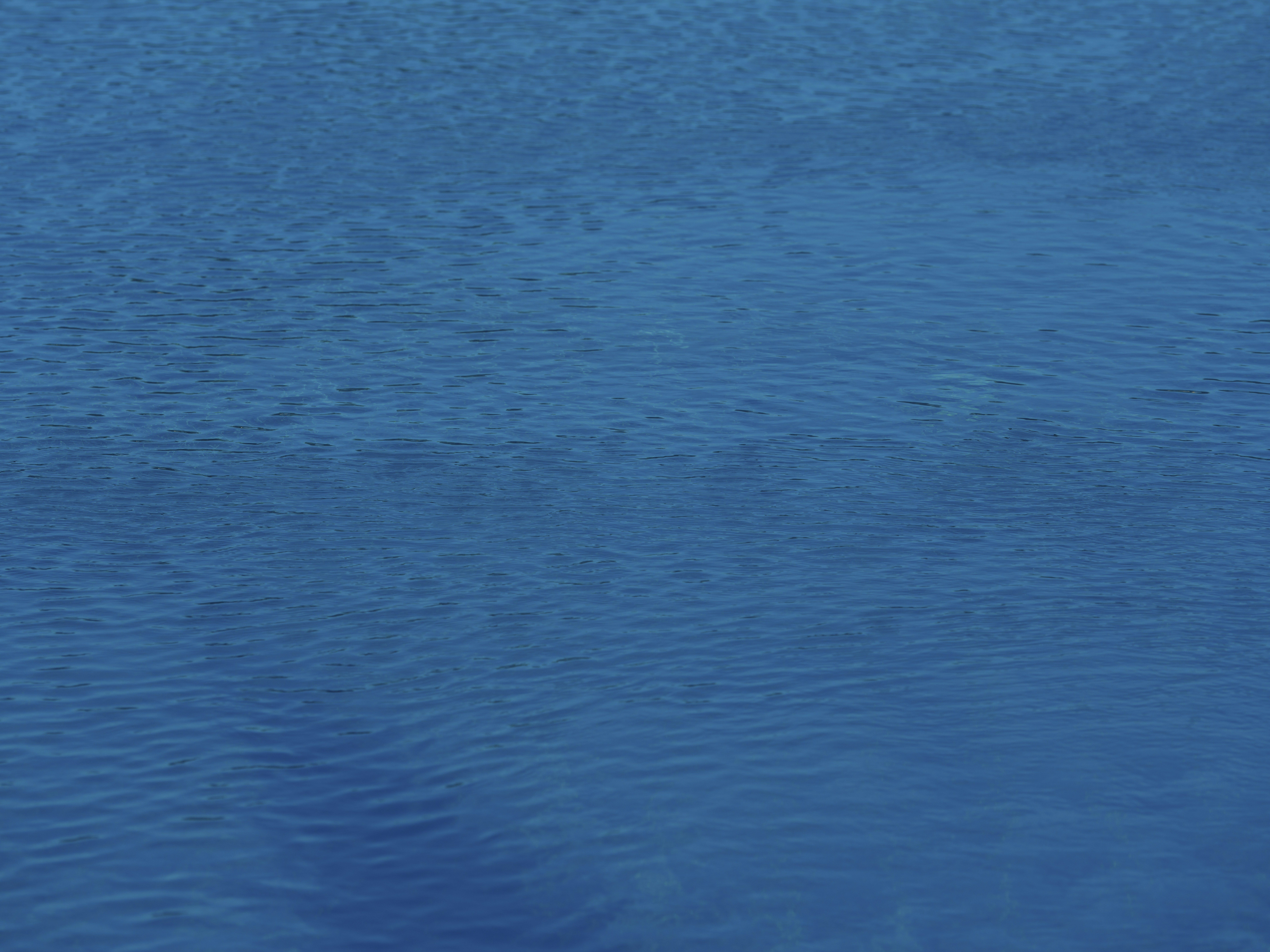 Photo by enginakyurt